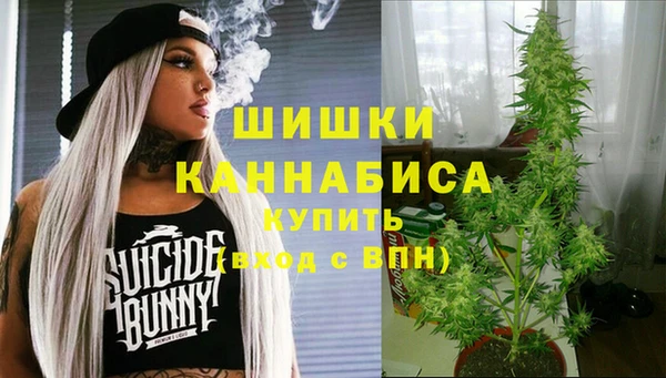 мет Надым