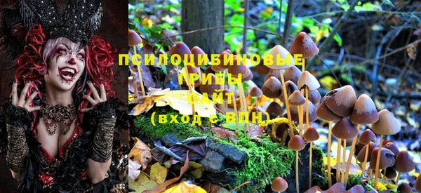 мет Надым