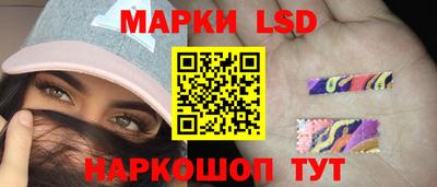 крисы Нальчик